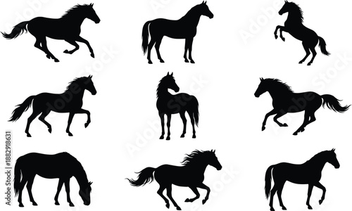 Silhouettes of horses in multiple dynamic poses including running, rearing, standing,grazing, showcasing equestrian movement, wild animal behavior, and natural motion in a minimalist graphic style