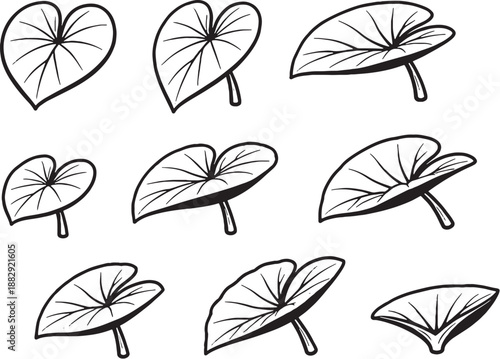 Taro Leaf Icon Set Black and White Botanical Line Art EPS Safe