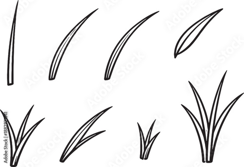 Rice Leaf Icon Set Black and White Minimal Botanical Line Art EPS Safe