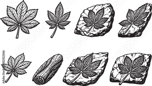 Archaic Palmate Fossil Leaf Icons Black and White Line Art