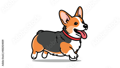 Happy tricolor corgi dog walks with its tongue out in a cute cartoon style illustration perfectly isolated on a white background.
