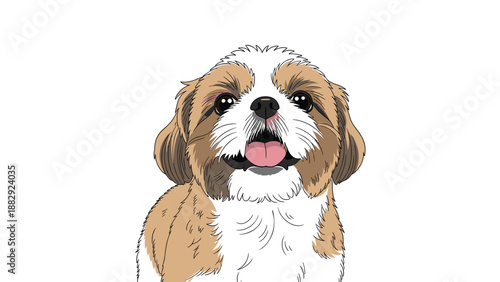 Detailed hand drawn illustration of a shih tzu puppy face with its tongue hanging out against a clean white background.