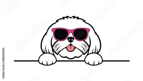 White Maltese dog wearing stylish pink sunglasses and peeking over a black line on a clean white background, ideal for copy space.