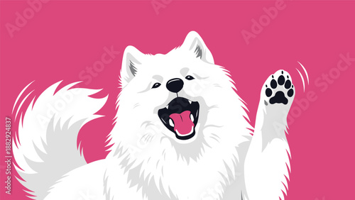 Happy white Samoyed dog waving its paw on a bright pink background, ideal for cheerful and energetic pet advertisements.