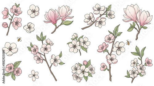Collection of Delicate Cherry Blossom Branch Illustrations.
