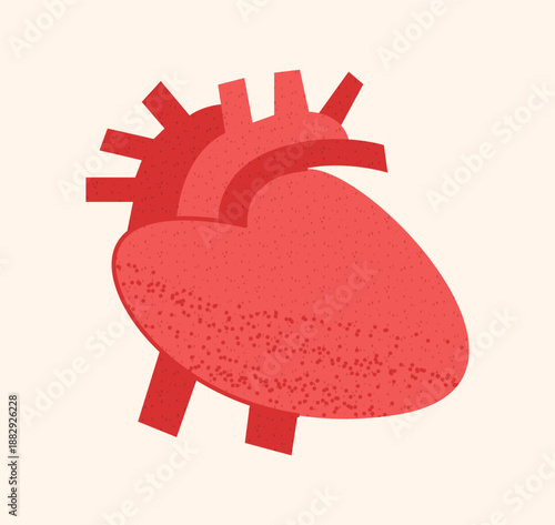 Human heart illustration in flat medical style. Simple anatomical organ with textured surface. Cardiovascular health and anatomy concept. Human organ, clip art, icon