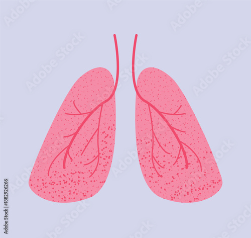 Human Lungs illustration in flat medical style. Simple anatomical organ with textured surface and branching airways. Healthcare and respiratory system illustration. Medicine, Biology, Organ, Clip art