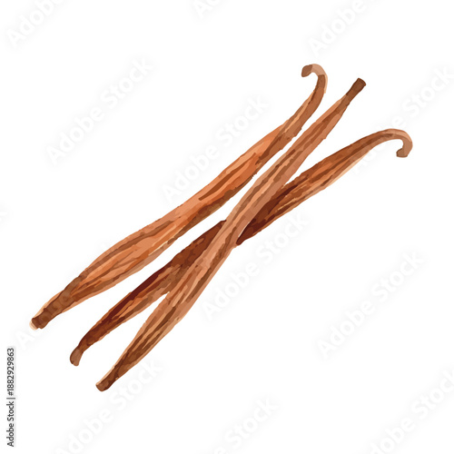 Watercolor-style vanilla illustration／バニラビーンズ