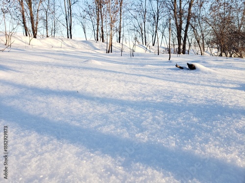 winter landscape with snow covered trees