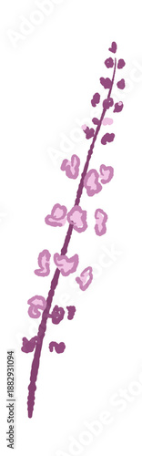 Decorative Red Perilla Flower Blossom