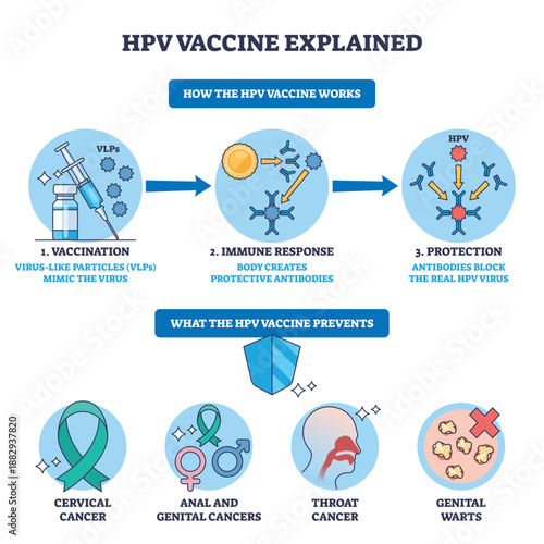 HPV vaccine explained, step-by-step of immunization, immune response, and protection, syringe, antibodies, virus icons show prevention of cancers and warts. Outline diagram
