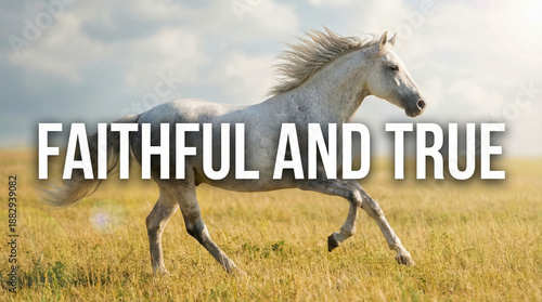 White horse running in a field against a cloudy sky  
