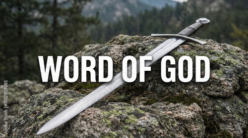 Silver Sword on Stone against Forest Background  