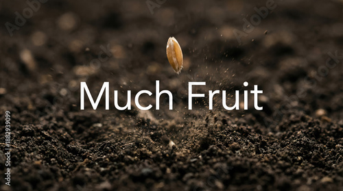 Seed Sprouting with Potential in Dark Soil Background  