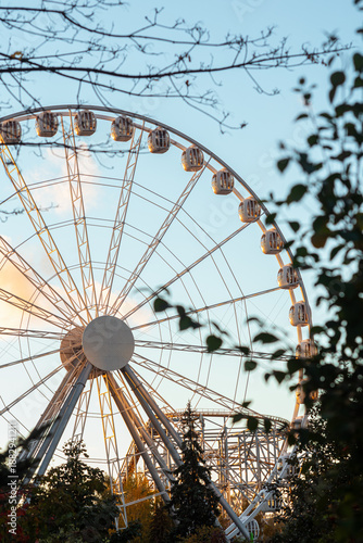 ferris wheel in the park