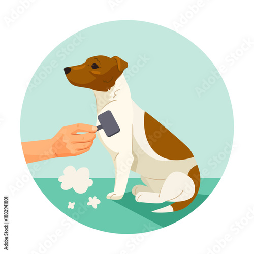 A person grooming a calm brown and white dog with a shedding brush, flat style on a light green background. Concept of pet care. Vector illustration