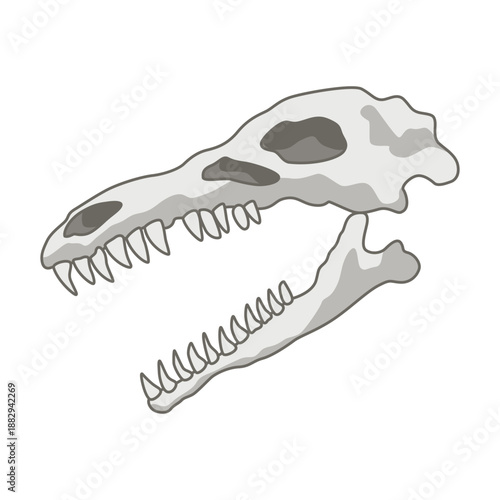 Dinosaurs skeletons parts underground. Fossils, bones of prehistoric reptiles and ammonites