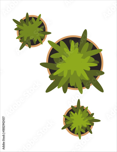 Interior furniture top view. Element for living room. Floor plan, view from above. Furniture store. Icon of interior. Isolated vector illustration