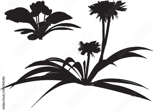 Set of black palm tree silhouettes featuring tropical coconut leaves and branches for a summer beach nature landscape vector illustration design