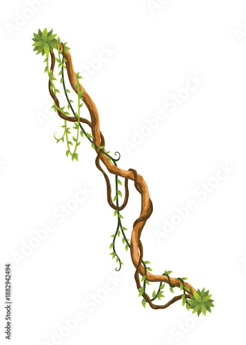 Liana branch. Twisted wild jungle vine plants. Woody natural tropical rainforest, exotic botany element. Vector design element