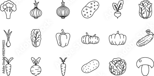 Hand drawn vegetable icon set with fresh organic food elements isolated in black and white outline style