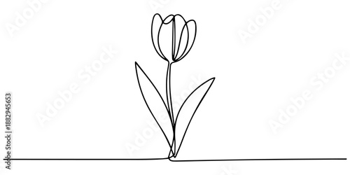 Tulip flower continuous one line drawing. Flower sign in one line style. Doodle vector illustration, Tulip one line drawing. Abstract flower continuous line. Minimalist contour drawing of tulip.