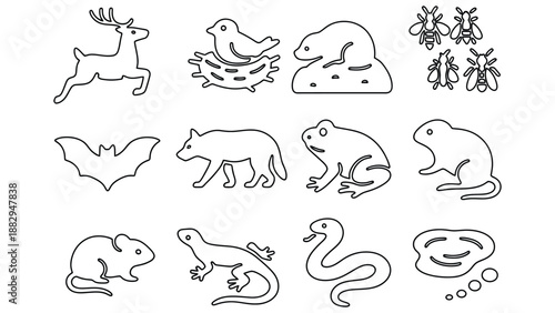A collection of various animal line drawings on a white background