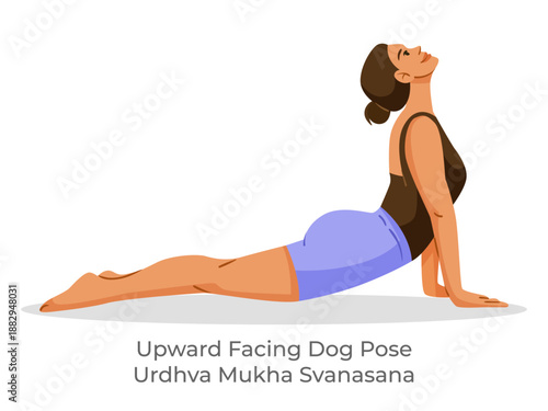 Woman performing Upward Facing Dog yoga pose, flat graphic style, on white background. Concept of healthy lifestyle and body flexibility. Vector illustration
