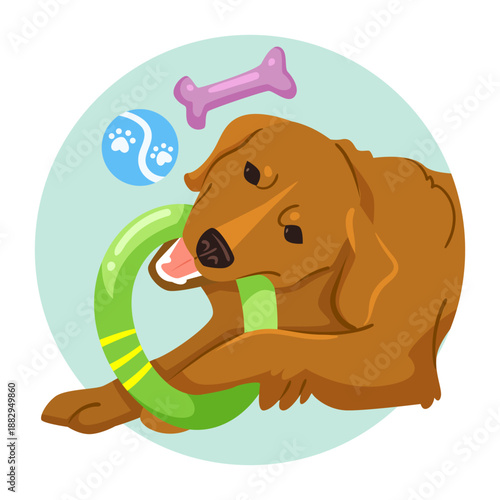 Playful brown dog chewing a green toy ring with a ball and bone on pastel background. Concept of pet care, playtime and dog behavior. Vector illustration