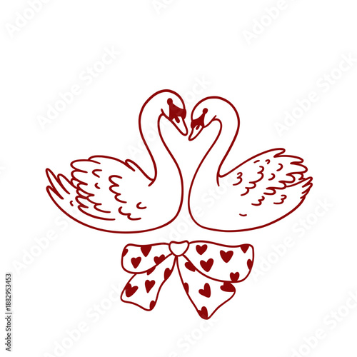 Hand drawn ink couple of swans and bow with hearts. Pair of cute wild birds. Symbol of love. Vintage whimsical clipart. Modern vector illustration