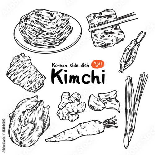 Set of hand drawn Traditional Side dish Korean Kimchi outline drawing illustration