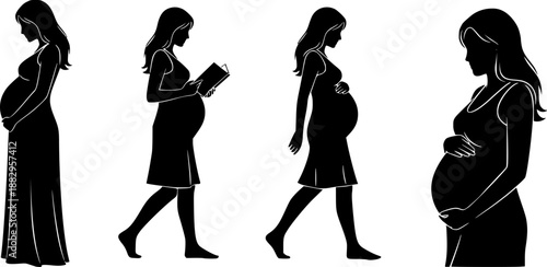 Evolution of Pregnant Woman Silhouette Vector Illustration