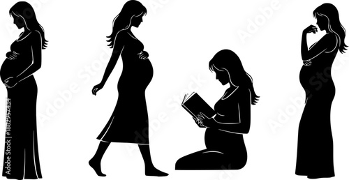 Evolution of Pregnant Woman Silhouette Vector Illustration