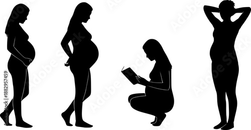 Evolution of Pregnant Woman Silhouette Vector Illustration