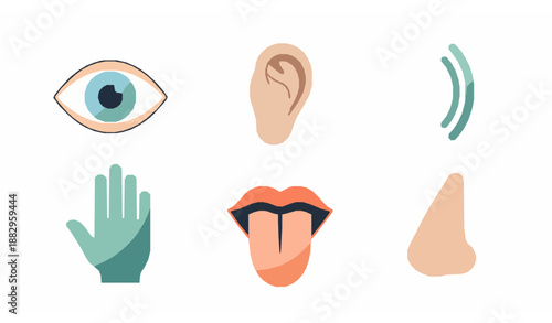 Five Human Senses Vector Icons Set. Vision, Hearing, Touch, Taste, Smell
