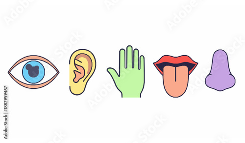 Human Five Senses Flat Icons Set for Education and Healthcare