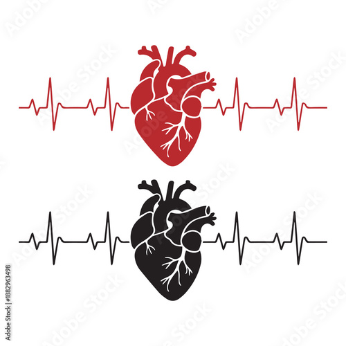Anatomical hearts with ekg waves in red and black illustration