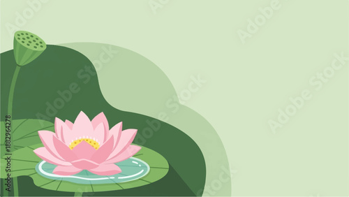 Pink lotus flower and seed pod bloom in serene green pond