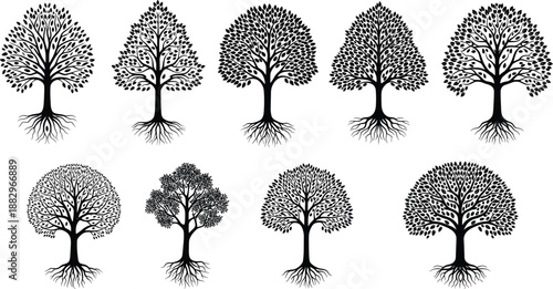 Collection of black silhouette trees with visible roots on white background