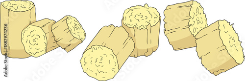 Vector colored illustration of fresh cut sugarcane pieces, juicy sugar cane stalks slices showing fibrous sweet interior, tropical street food snack, natural raw cane sugar, exotic refreshment