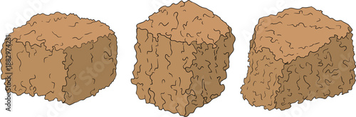 Vector colored illustration of fresh cut sugarcane pieces, juicy sugar cane stalks slices showing fibrous sweet interior, tropical street food snack, natural raw cane sugar, exotic refreshment