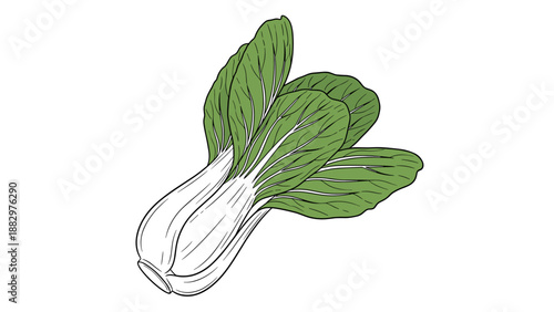 Fresh bok choy with green leaves on white background