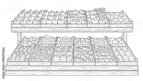 Outline drawing of market vegetables on display shelves