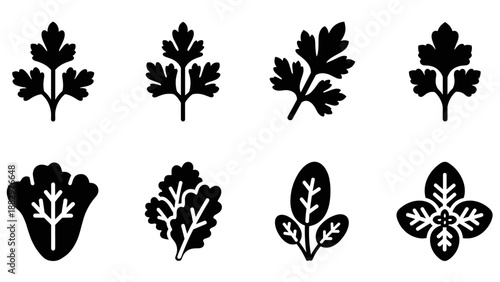 Herb silhouette icons collection: basil, parsley, spinach, and rosemary designs