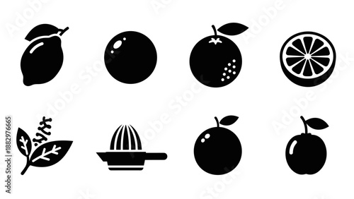 Citrus fruit silhouettes with juicer and leaves icons