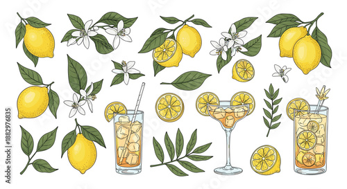 Detailed illustrations of lemons, citrus blossoms, and refreshing iced tea drinks with straws and lemon slices in a soft color palette.
