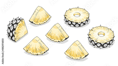 Hand-drawn pineapple slices and wedges in vintage style