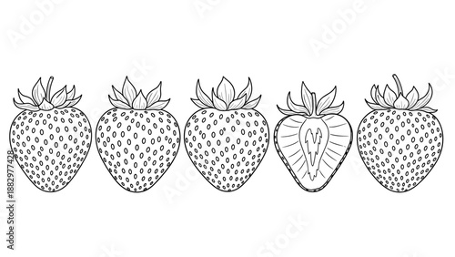 Black and white strawberry line art five styles for coloring