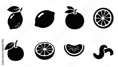 Stylish citrus fruit icons in bold silhouette design for modern digital projects