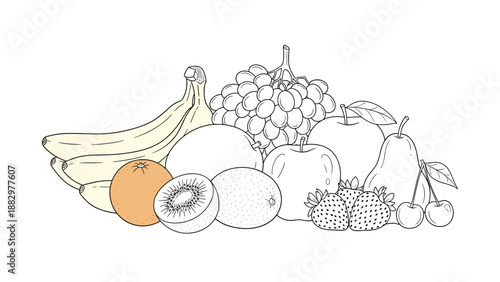 Fruits outline with colorful details: kiwi, banana, grapes, apple, and more